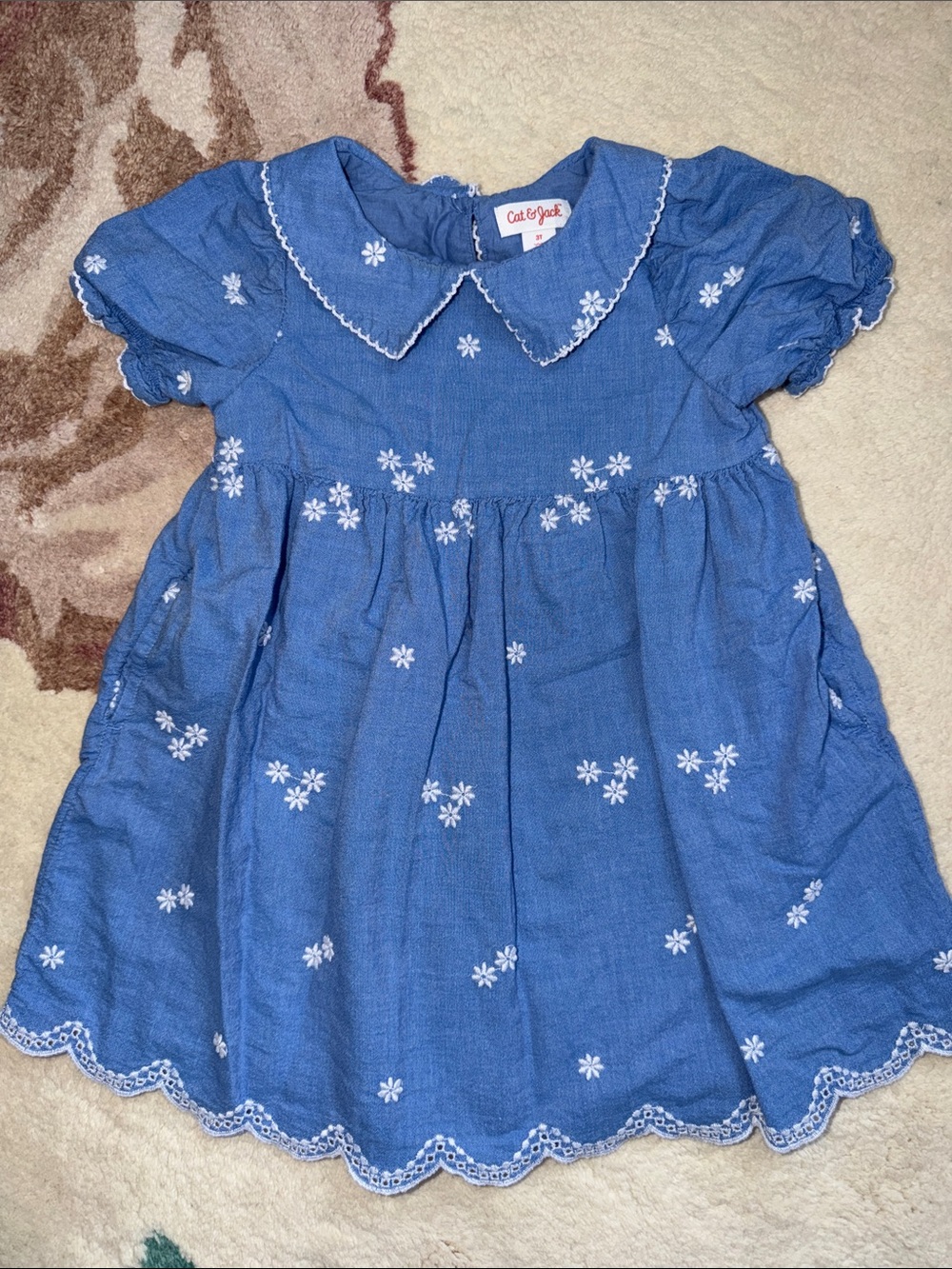Cat & Jack Blue Floral Embroidered Peter Pan Dress